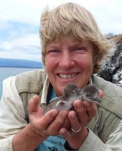 Dee Boersma - Professional null Speaker