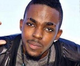 Roscoe Dash - Professional null Speaker