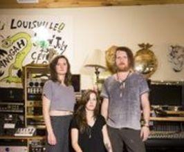 Twin Limb - Professional null Speaker