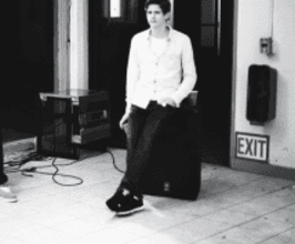 Lemaitre  - Professional null Speaker