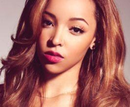 Tinashe - Professional null Speaker