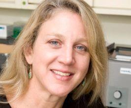 Lise Eliot - Professional null Speaker