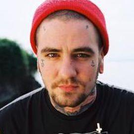 Fences - Professional null Speaker