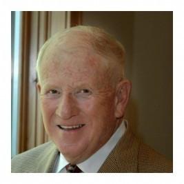 Red Cashion - Professional null Speaker