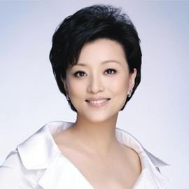 Yang Lan - Professional null Speaker
