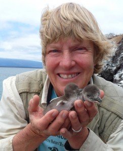 Dee Boersma - Professional Speakers Booking