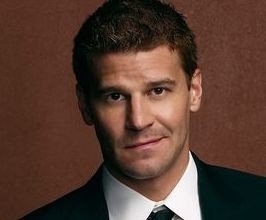 David Boreanaz - Professional null Speaker