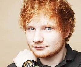Ed Sheeran - Professional null Speaker