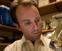 Pieter Johnson - Professional null Speaker