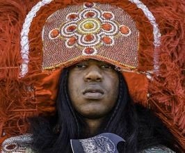 Cha Wa - Professional null Speaker