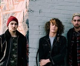 Cheat Codes - Professional null Speaker
