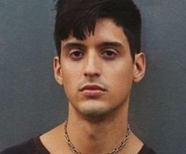 Arca  - Professional null Speaker