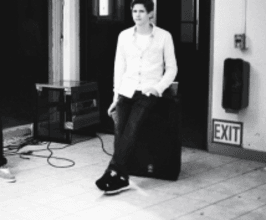 Lemaitre  - Professional null Speaker