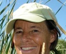 Wendy Paulson - Professional null Speaker