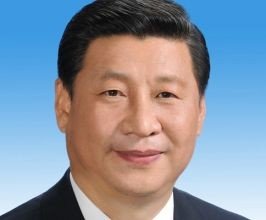 Xi Jinping - Professional null Speaker