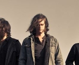 Kongos  - Professional null Speaker