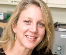 Lise Eliot - Professional null Speaker