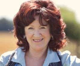 Sue Johnson - Professional null Speaker