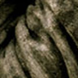 Brett Dennen - Professional null Speaker