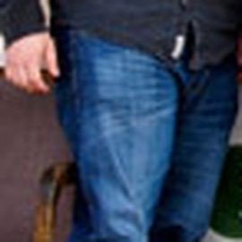 BoDeans  - Professional null Speaker