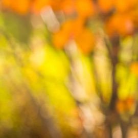 Henry Giroux - Professional null Speaker