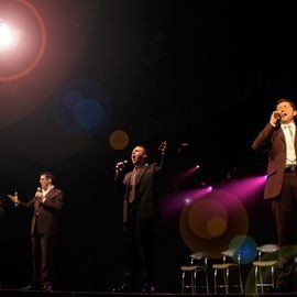 Figaro  - Professional null Speaker