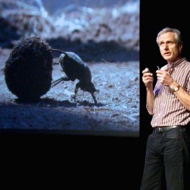 Marcus Byrne - Professional null Speaker