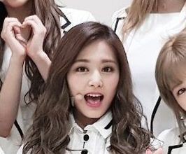 TWICE - Professional null Speaker