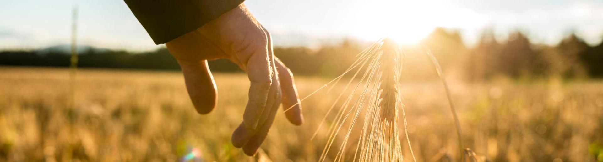 Inspirational Speakers speakers for hire