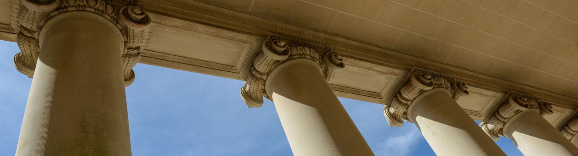 Government and Political Officials hero