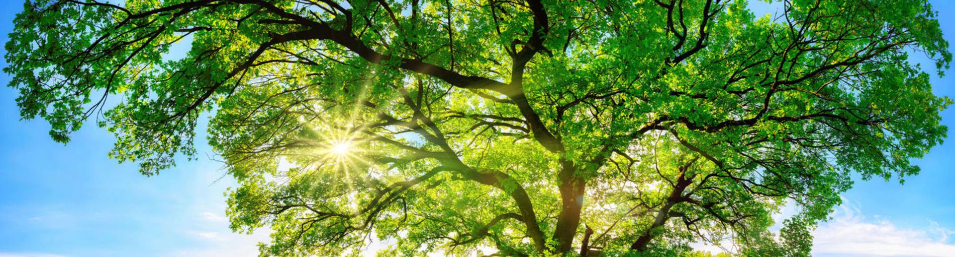 Sustainability Speakers hero