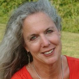 Iris Krasnow - Professional null Speaker