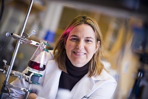 Angela Belcher - Professional null Speaker