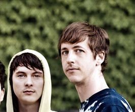 Animal Collective - Professional null Speaker