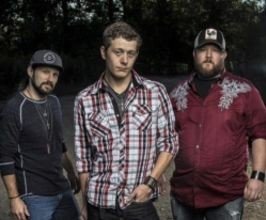 The Band Stringfield - Professional null Speaker