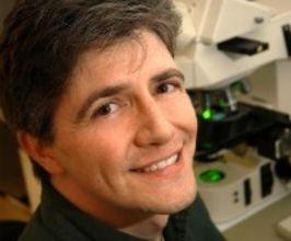 Dr. Matthew Breen - Professional null Speaker