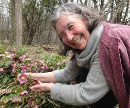 Diana Beresford-Kroeger - Professional null Speaker