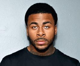 Sage The Gemini - Professional null Speaker