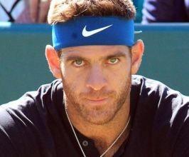 Juan Martin del Potro - Professional null Speaker