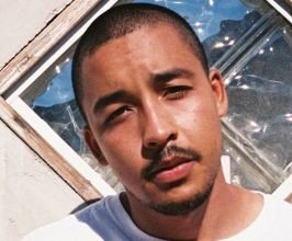 Dijon - Professional null Speaker