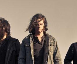 Kongos - Professional null Speaker