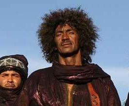 Tinariwen - Professional null Speaker