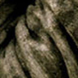 Brett Dennen - Professional null Speaker