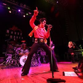 Graceland Ninjaz - Professional null Speaker