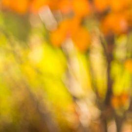 Henry Giroux - Professional null Speaker