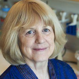 Mary-Claire King - Professional null Speaker