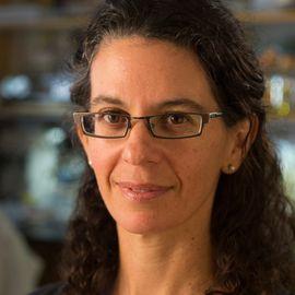 Dianne Newman - Professional null Speaker