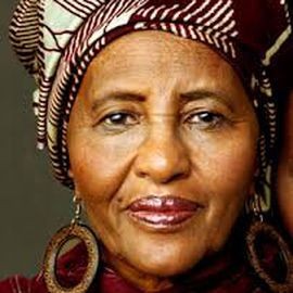 Dr. Hawa Abdi - Professional null Speaker