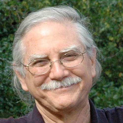 Michael A. Singer - Professional null Speaker