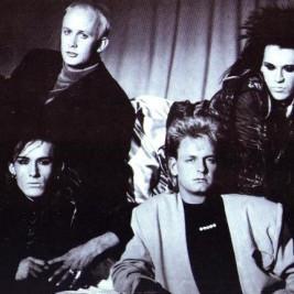 Dead or Alive - Professional null Speaker